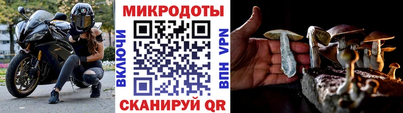 Псилоцибиновые грибы MAGIC MUSHROOMS  Алейск 